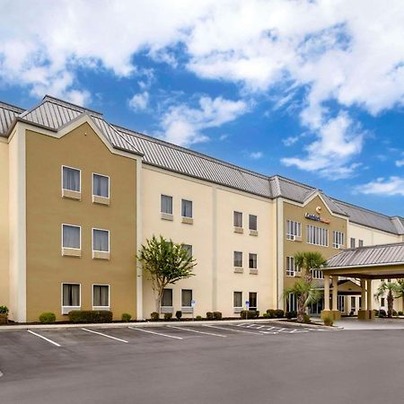 Comfort Suites At The University Conway Exterior photo