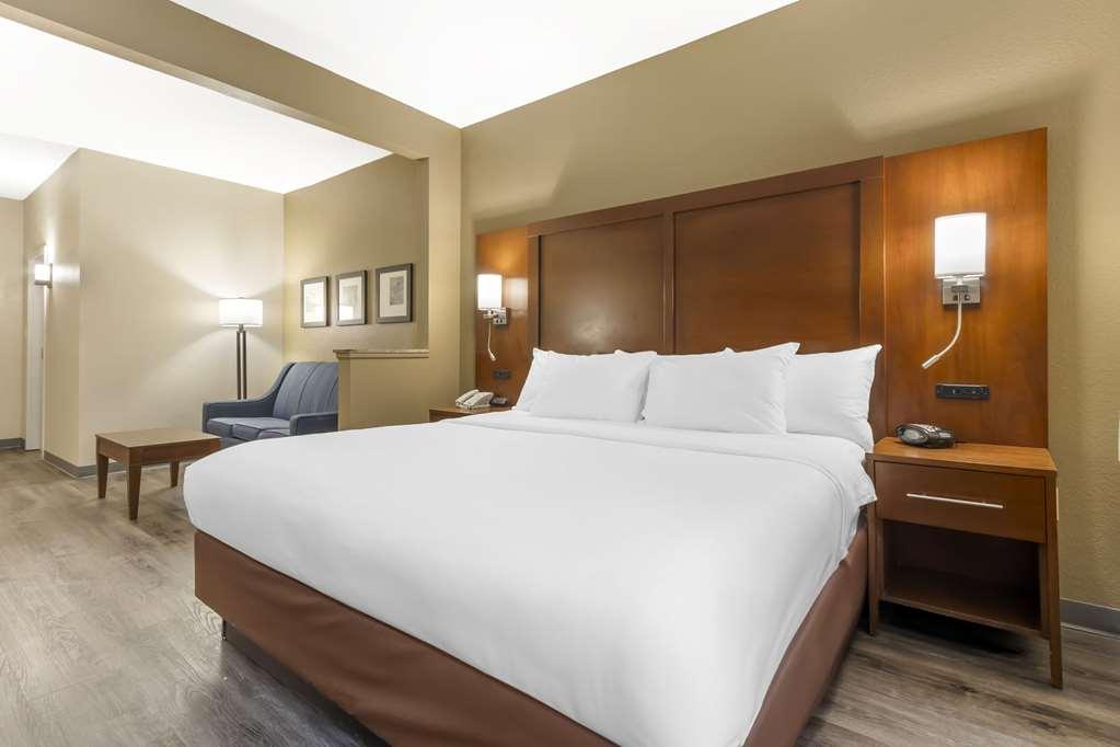Comfort Suites At The University Conway Room photo